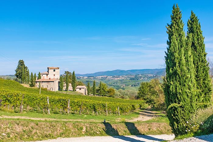 Castellina in Chianti