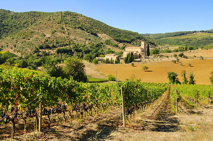 Weingut im Chianti