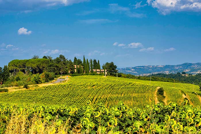 Landschaft bei Citta della Pieve