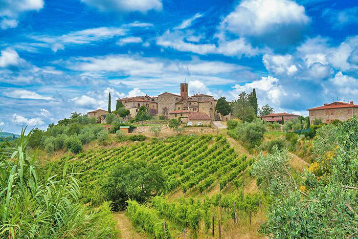 Weinberge bei Gaiole in Chianti 