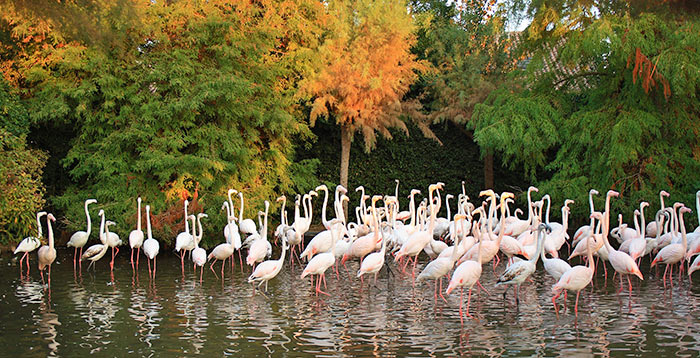 Lignano Sabbiadoro - Parco Zoo Punta Verde