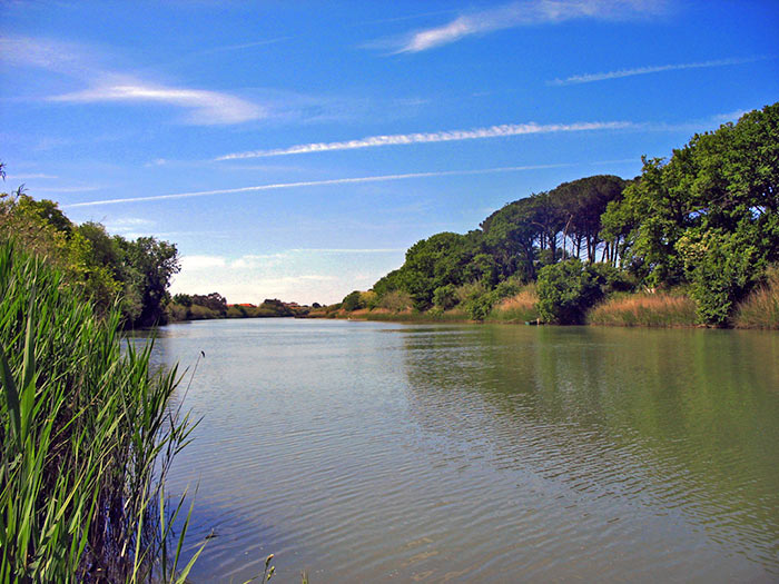 Fluss Cecina bei Marina di Cecina