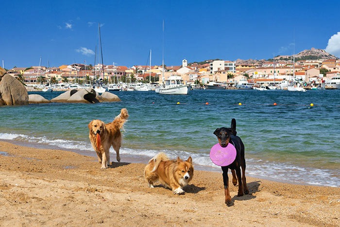 Hundestrand bei Palau 